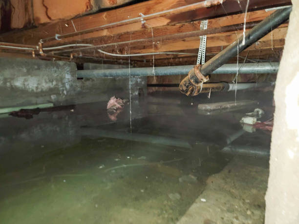 Best Water damage restoration near me  in Geneva, IL