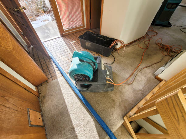 Best Water damage restoration near me  in Geneva, IL