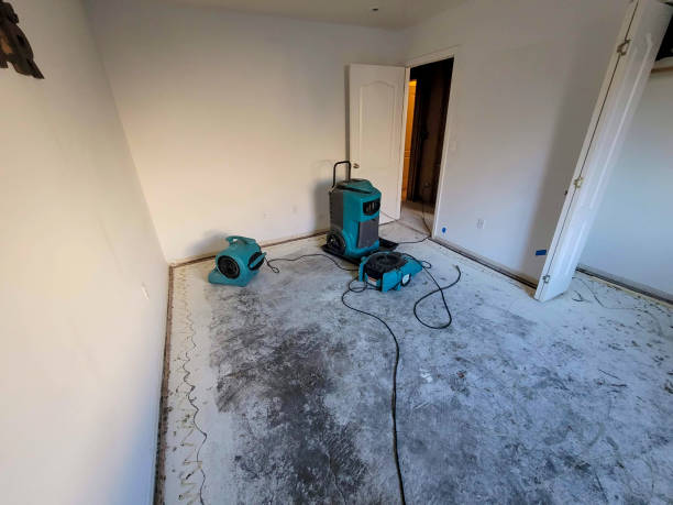 Best Commercial water damage restoration  in Geneva, IL